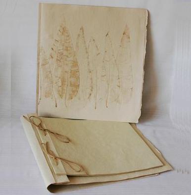 Indipaper - sketch book beige cypress (sketch book beige cypress)
